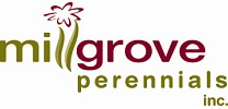 millgrove perennials